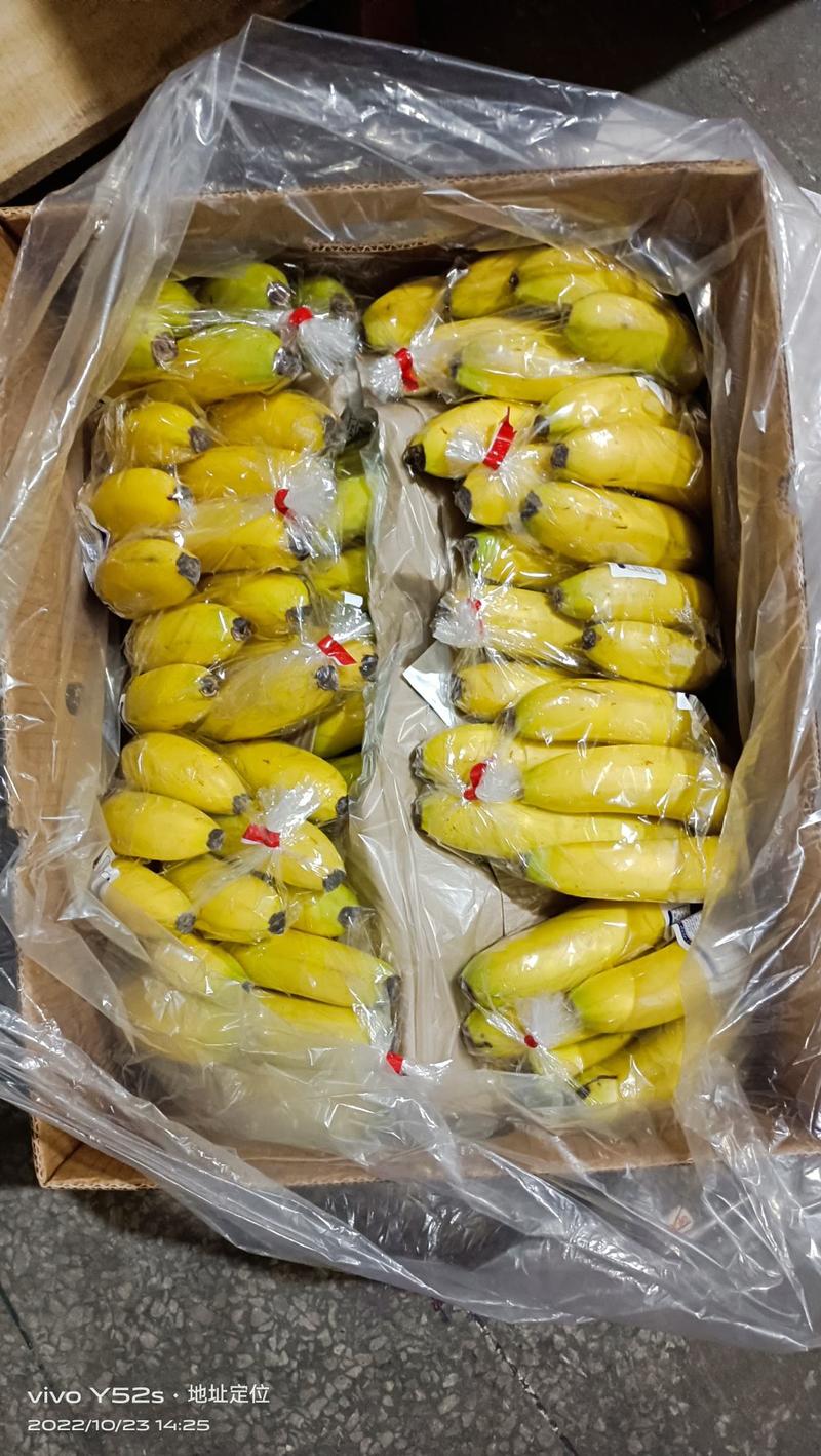 闵行区香蕉