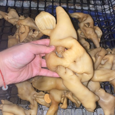 清真羊脸皮，快整脸大，质量优良，良心保证。