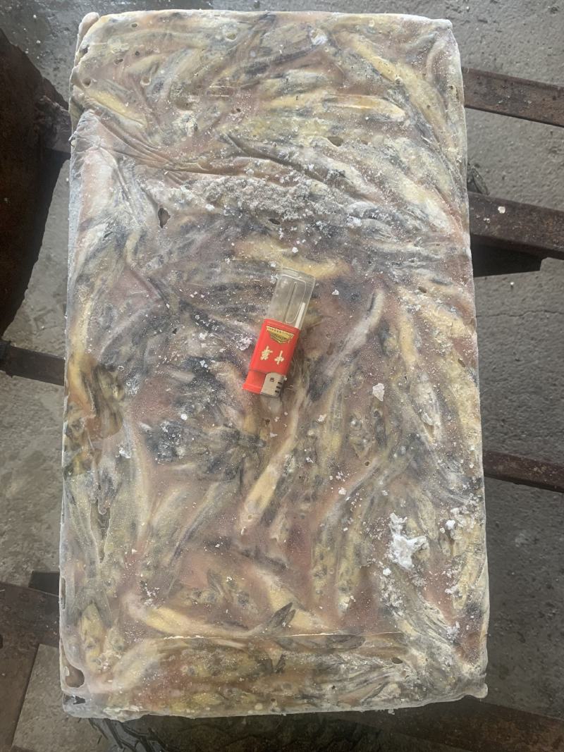 鲶鱼，黄骨鱼