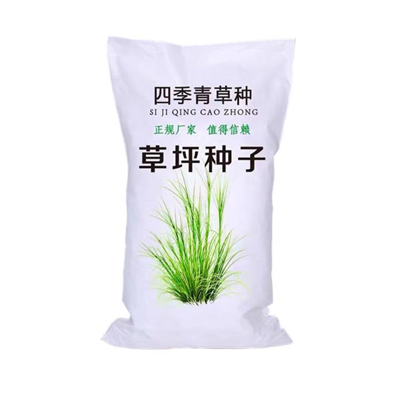 矮生百慕大种籽四季常青耐踩踏绿化草种子孑耐旱免修庭院草坪