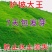 矮生百慕大种籽四季常青耐踩踏绿化草种子孑耐旱免修庭院草坪