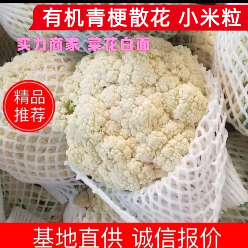 有机花菜青梗菜花小米粒安徽菜花白面花菜可代