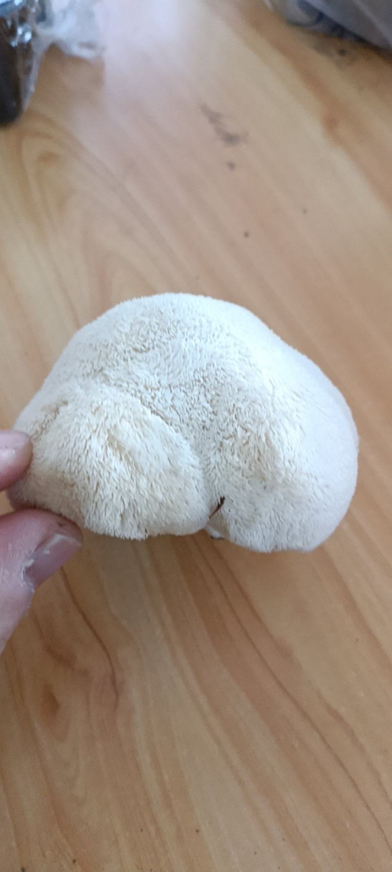新鲜有机猴头菇煲汤原料养胃非野生干货