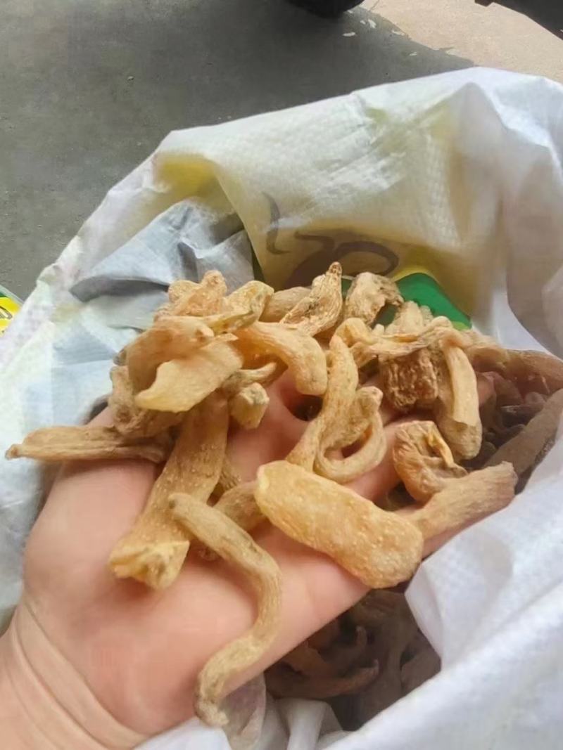 天麻，干货小麻子批发零售产地批发足干货。全国统一价