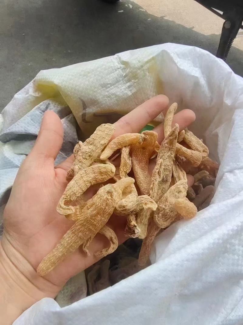天麻，干货小麻子批发零售产地批发足干货。全国统一价