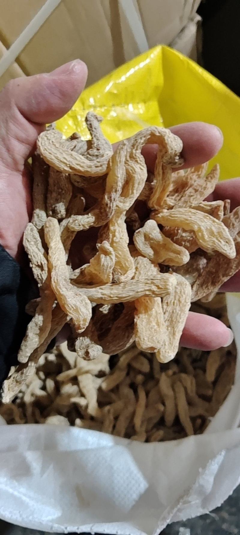 天麻，干货小麻子批发零售产地批发足干货。全国统一价