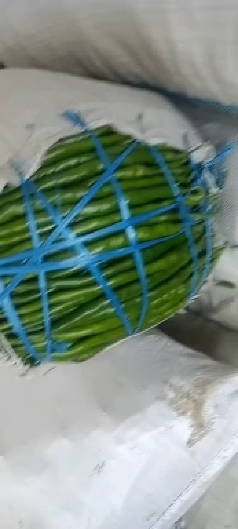 线椒新鲜现货供应露天耐运输口感香辣产地直发