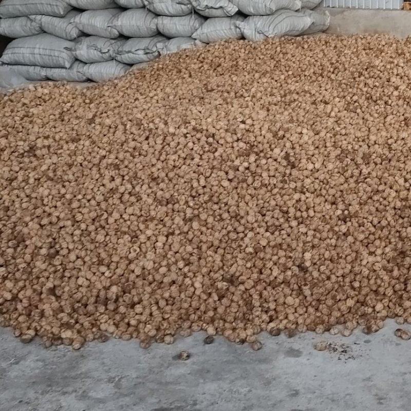 云南高山薄皮核桃