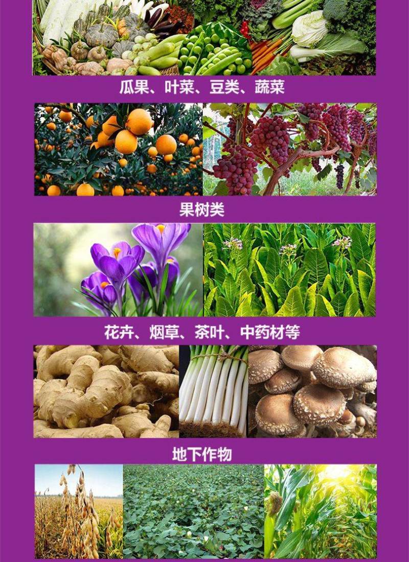 钙镁硼铁锌果树蔬菜专用快速生根中微量元素黄化叶裂果冲施滴