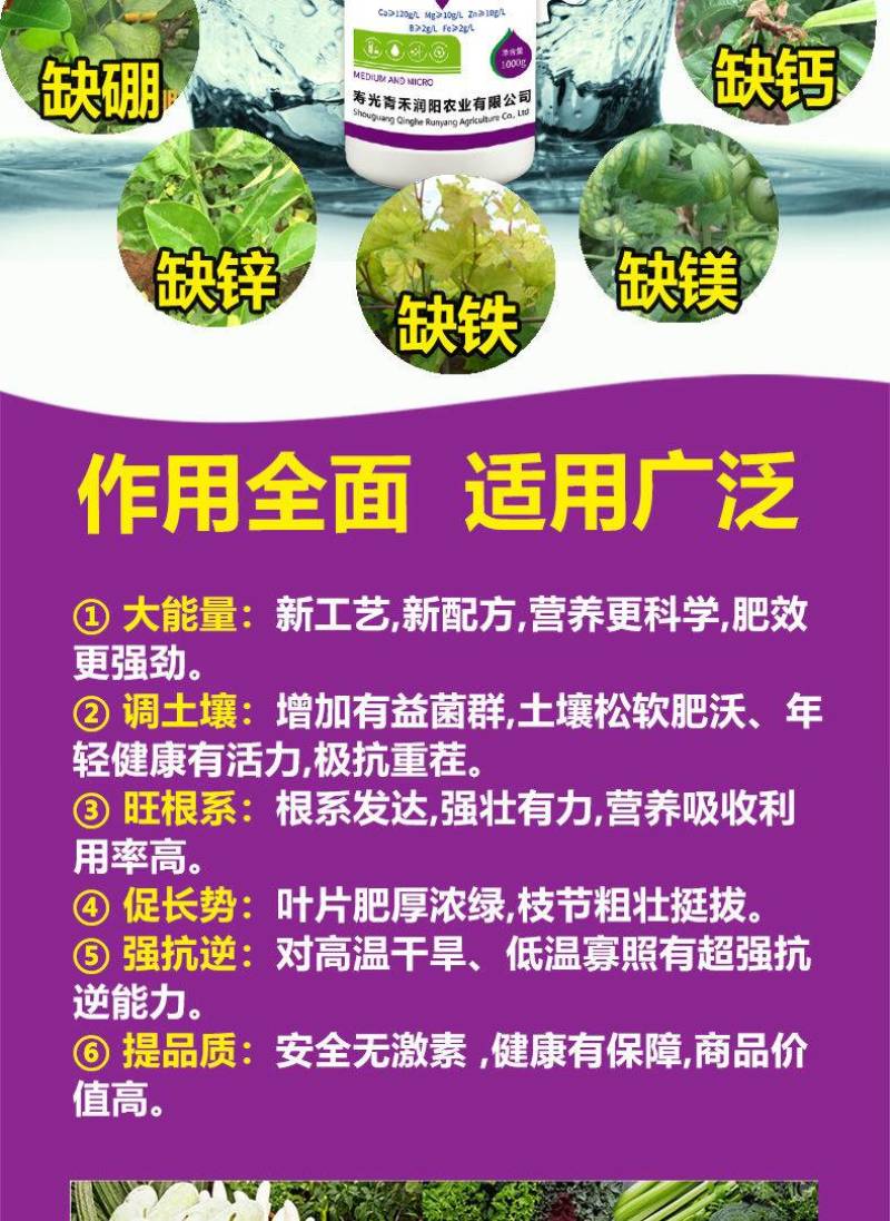 钙镁硼铁锌果树蔬菜专用快速生根中微量元素黄化叶裂果冲施滴
