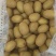 大量出售黄心猕猴桃金桃