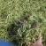 3000斤空气能热泵烘干机房适用于食用菌药材食品花茶瓜果