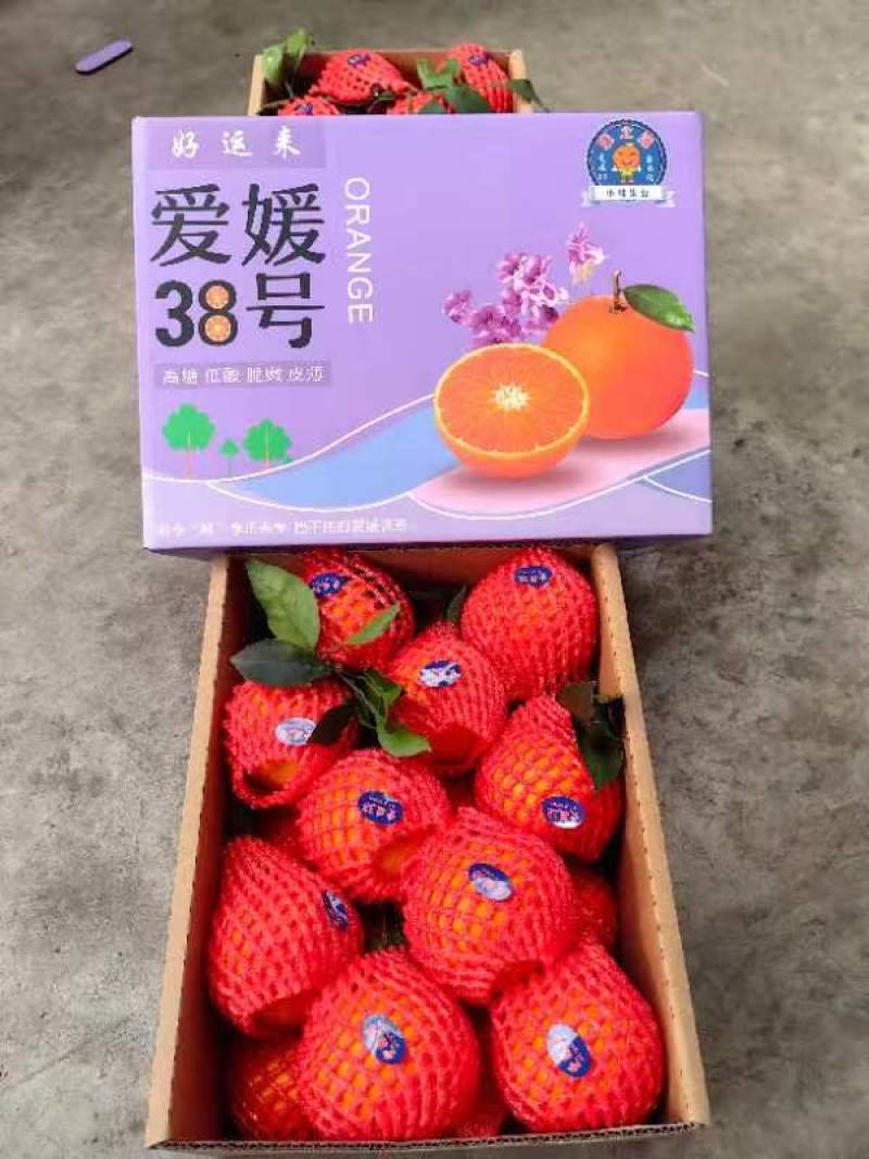 爱媛果冻橙可以吸的