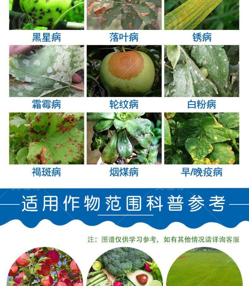 50%多菌灵杀菌剂悬浮剂赤霉病稻瘟病白粉病炭疽病果树蔬菜