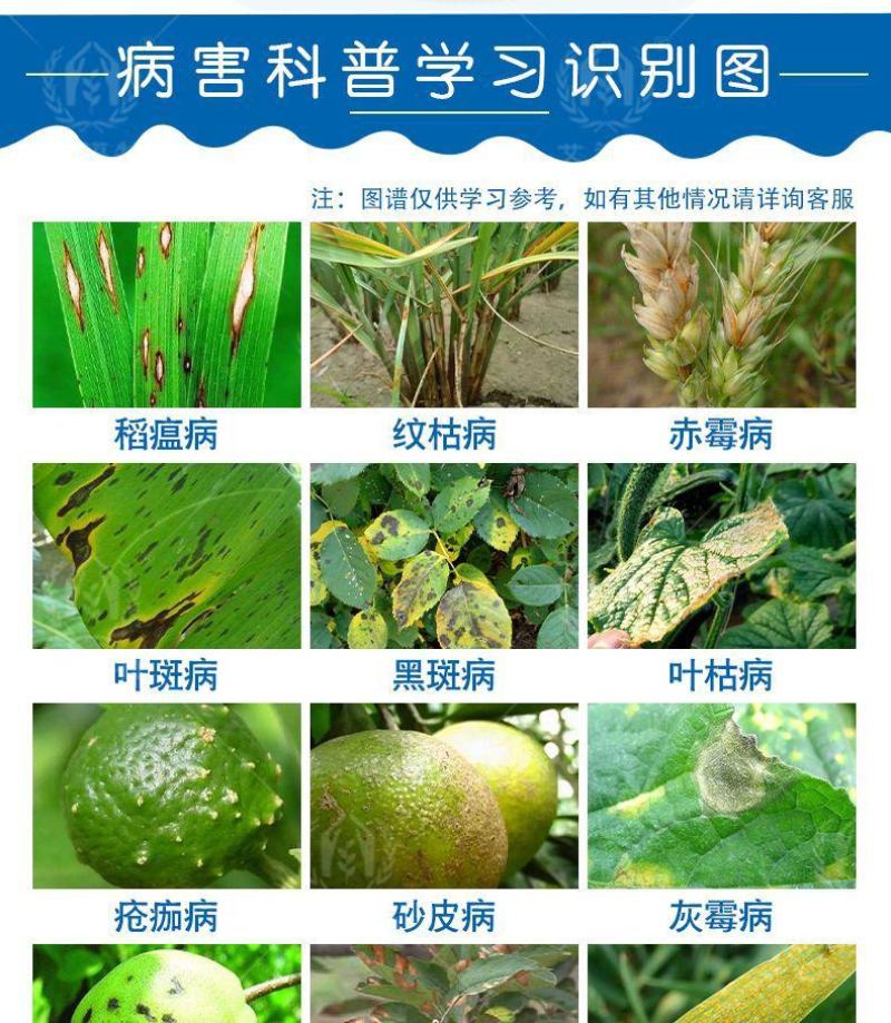 50%多菌灵杀菌剂悬浮剂赤霉病稻瘟病白粉病炭疽病果树蔬菜