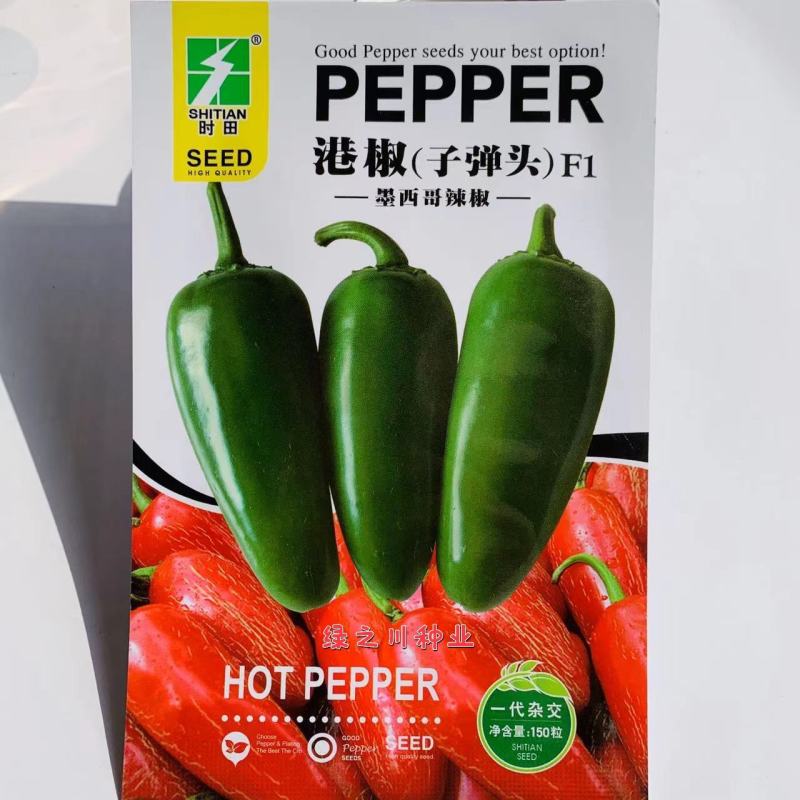 子弹头港椒种子墨西哥辣椒种子抗病味浓辣，适合鲜食腌渍加工