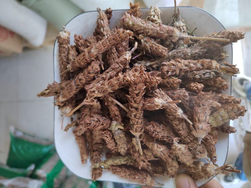 夏枯草，含量够，今年新货，纯干无杂质