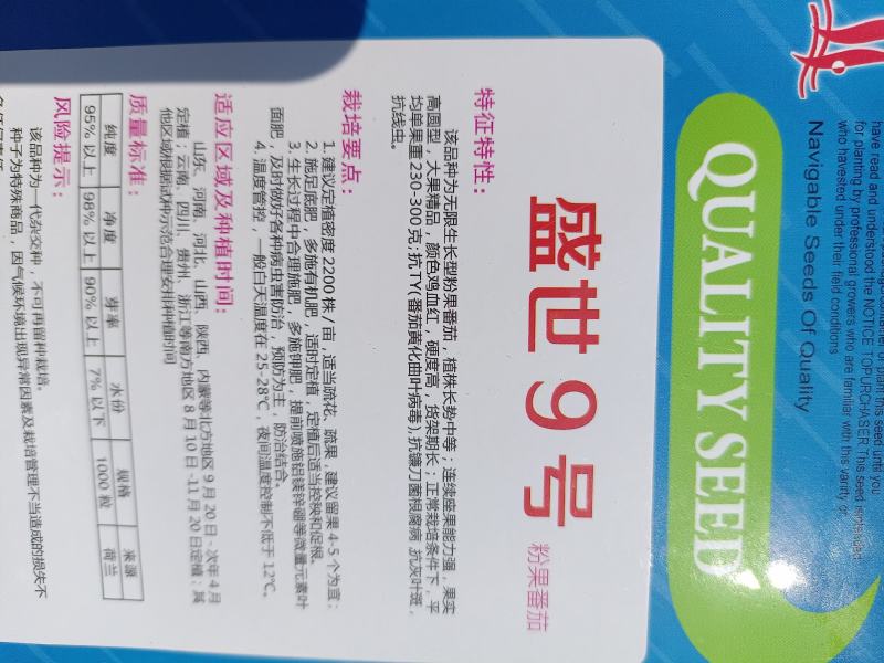 大果型硬粉盛世9号