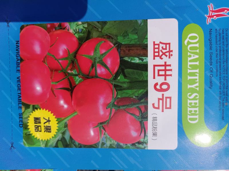 大果型硬粉盛世9号