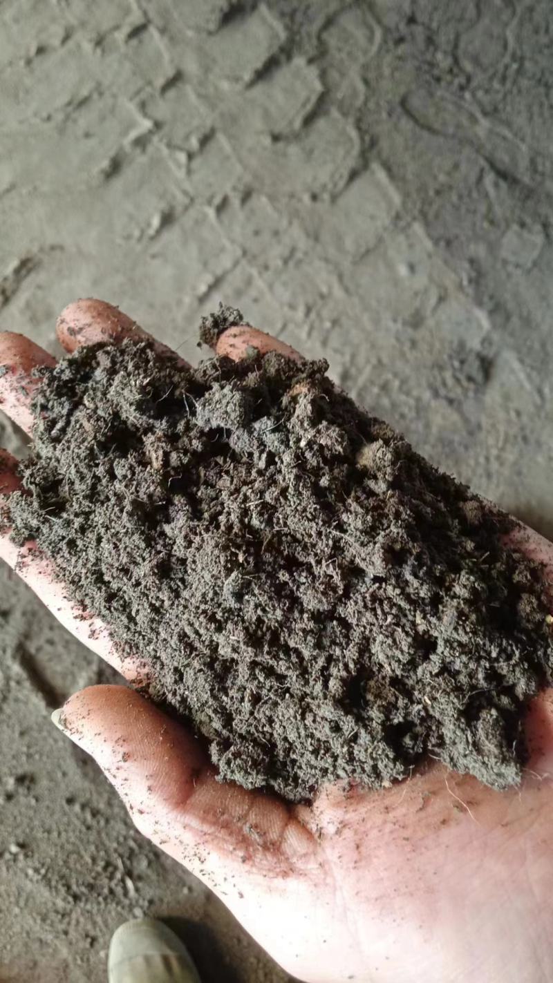 羊粪牲畜粪便发酵肥纯羊粪发酵肥效持久保质期长按需分拣打包