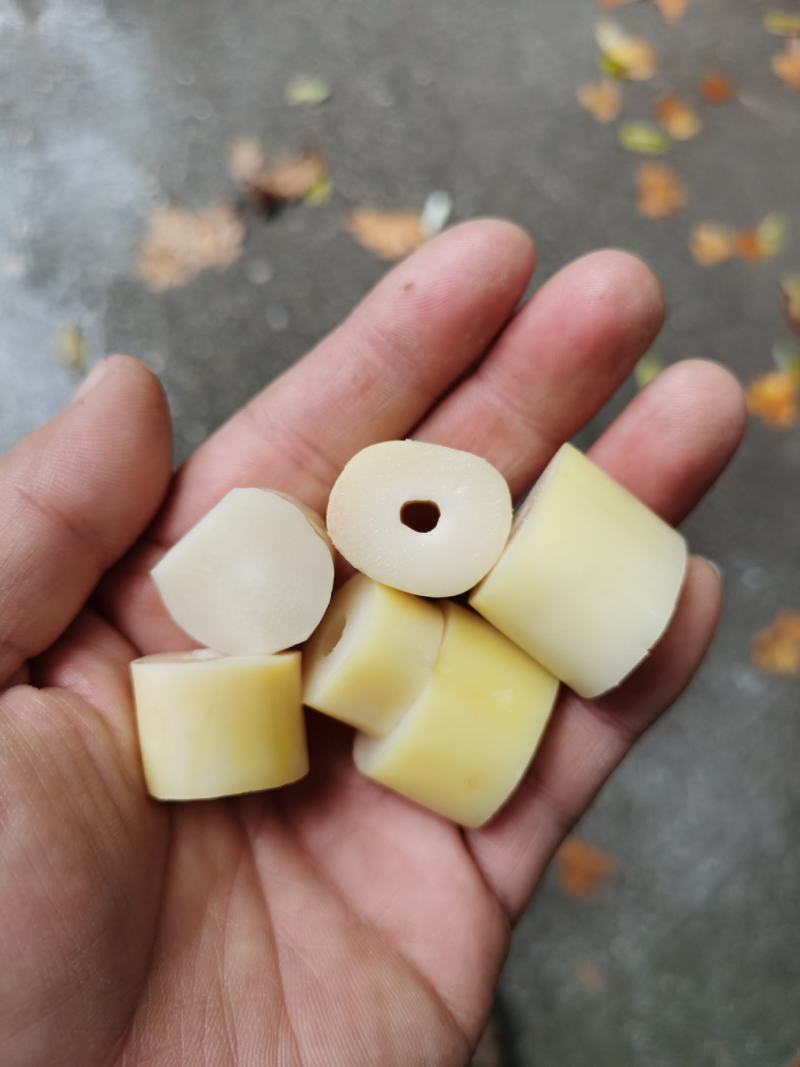 新鲜冷藏牛尾笋小笋子野生竹笋批发餐饮商用包装竹笋