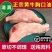 新鲜牛胸口油4斤胸口朥胸口肉牛胸脯油原切速冻包邮