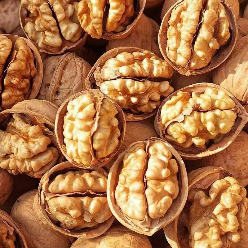 薄皮纸皮干核桃，产地发货，规格品种齐全，货量大，白仁为主
