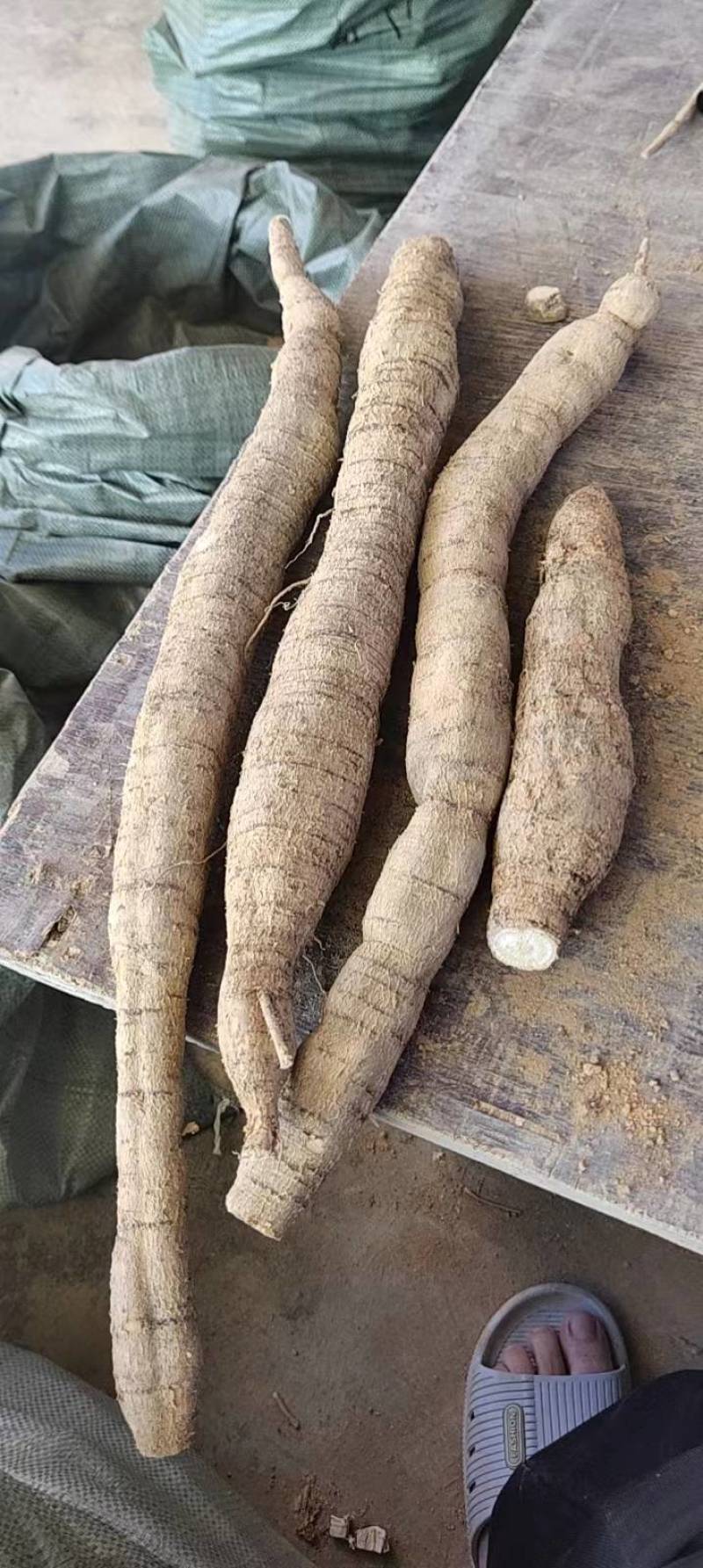 新鲜牛大力，中叶牛，煲汤靓货甘甜，各种规格齐全