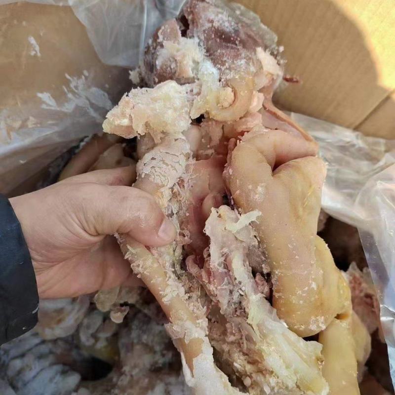 牛蹄筋好质量去骨带筋的大量现货跑江湖批发地摊产品