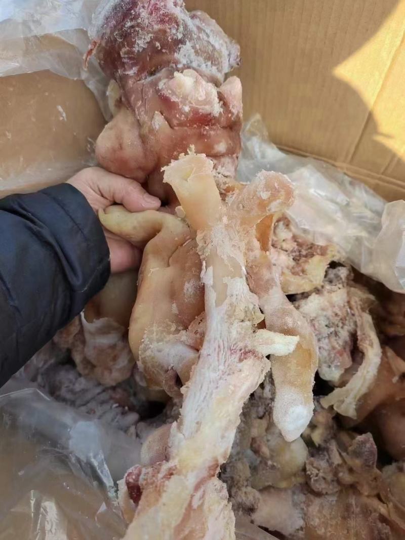 牛蹄筋好质量去骨带筋的大量现货跑江湖批发地摊产品