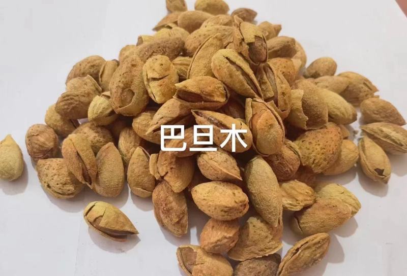 精品薄皮巴旦木NP巴旦木巴旦木精品巴支持一件代发