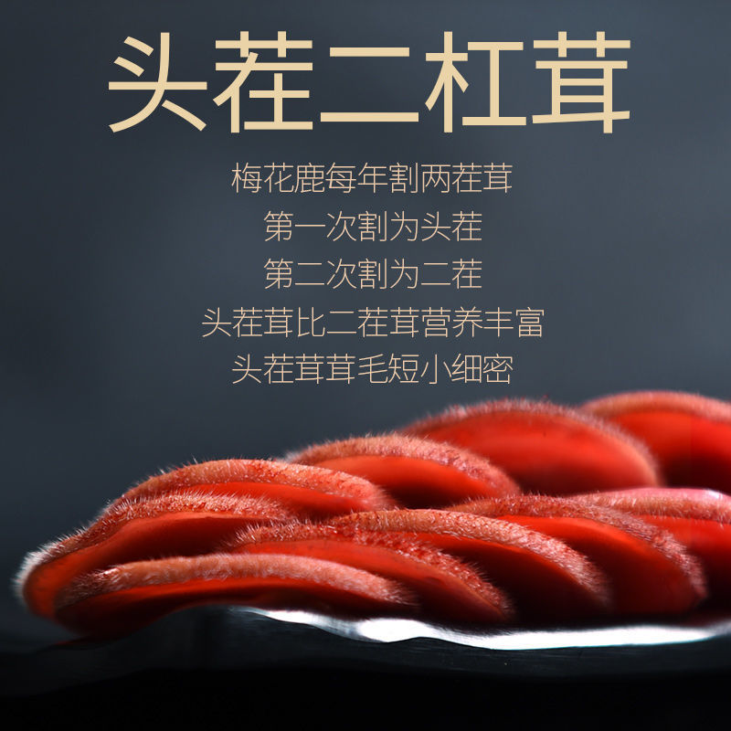 长白山梅花鹿现切鹿茸片鲜鹿茸鹿场直供煲汤泡洒头茬鹿茸
