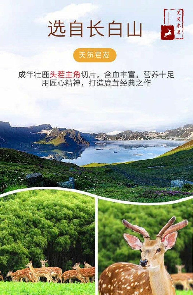 长白山梅花鹿现切鹿茸片鲜鹿茸鹿场直供煲汤泡洒头茬鹿茸