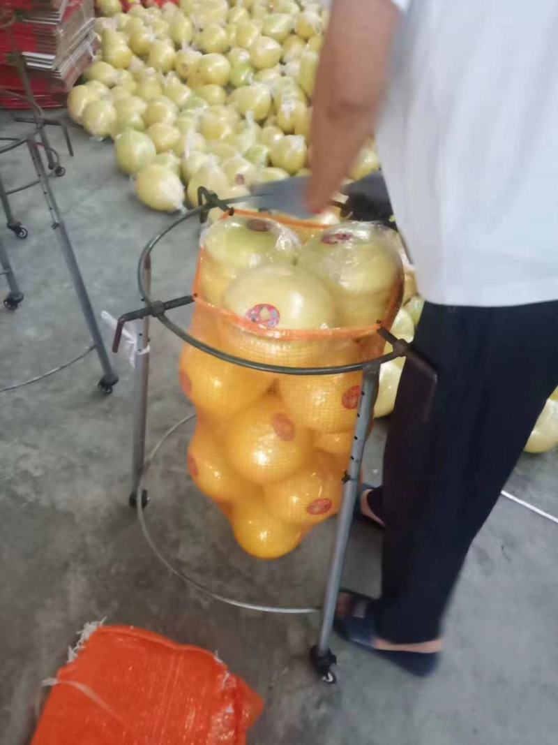 红心柚，产地看货以质论价，保质保量欢迎订购