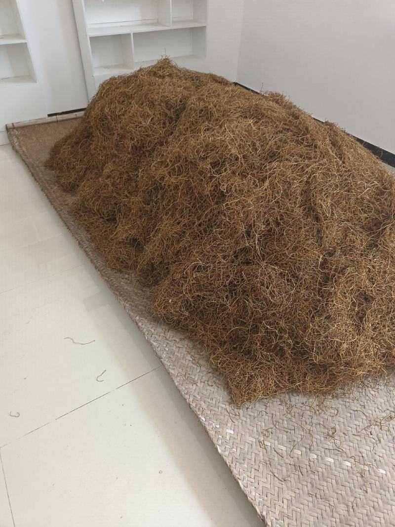 今年新自然晾晒红薯梗