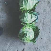湖北枝江牛心包大量上市了！一手货源！