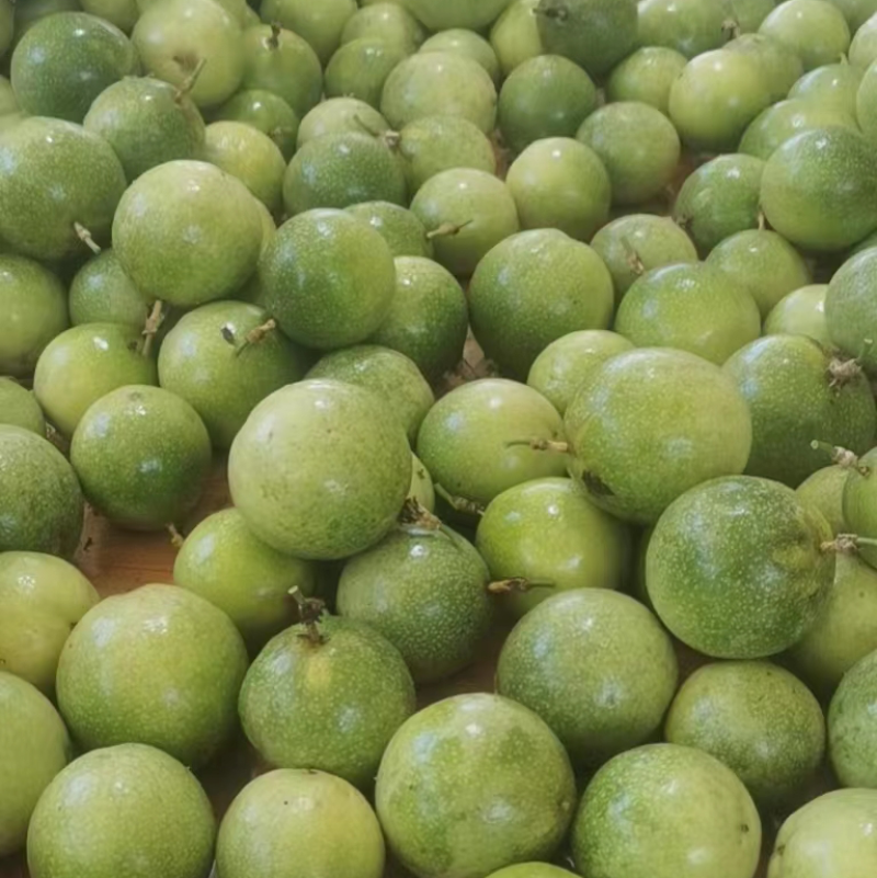 黄金果