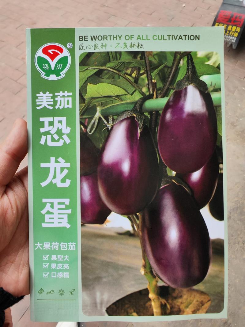 美茄恐龙蛋茄子种子，1000粒，果皮深紫色果型大果皮亮