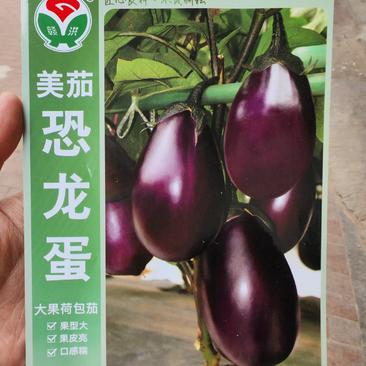 美茄恐龙蛋茄子种子，1000粒，果皮深紫色果型大果皮亮