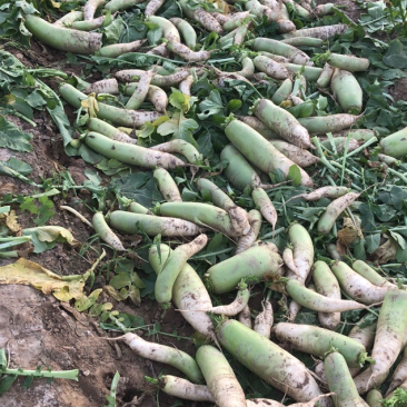 自家种植需要的联系