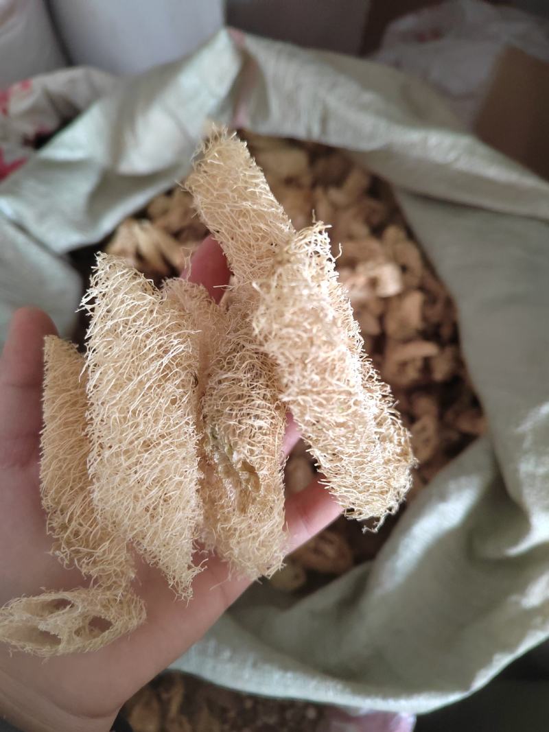 丝瓜络，丝瓜筋，药用丝瓜络，煎药用丝瓜络，产地山东，道地