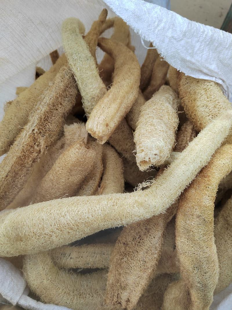 丝瓜络，丝瓜筋，药用丝瓜络，煎药用丝瓜络，产地山东，道地