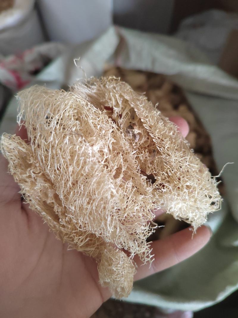 丝瓜络，丝瓜筋，药用丝瓜络，煎药用丝瓜络，产地山东，道地