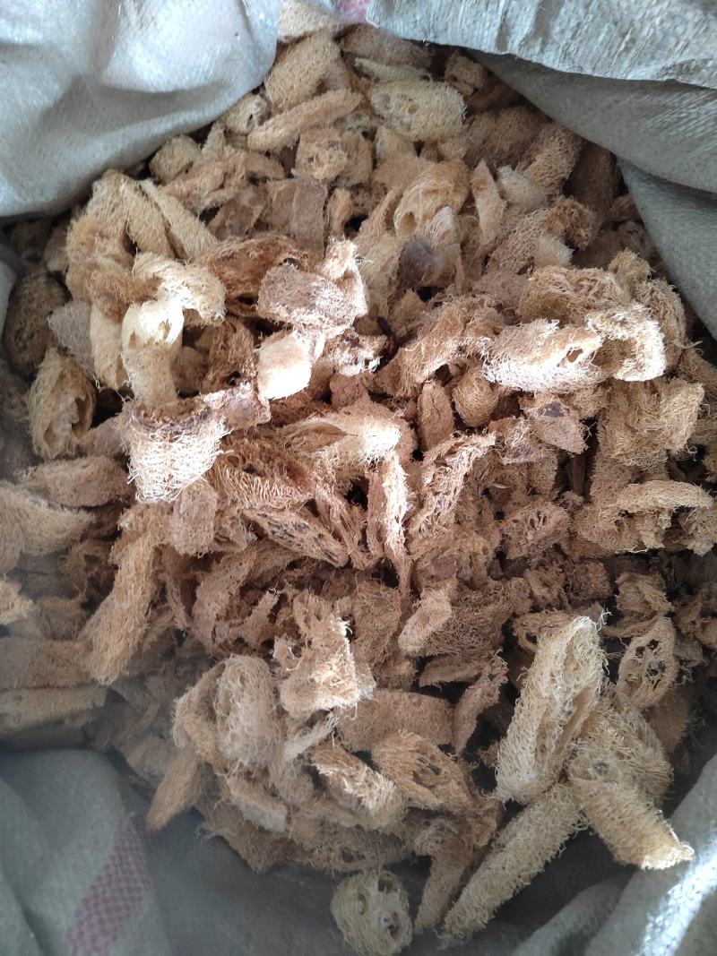 丝瓜络，丝瓜筋，药用丝瓜络，煎药用丝瓜络，产地山东，道地
