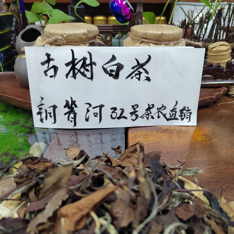普洱茶易武古树茶白茶铜箐河茶农茶山直供价格实惠
