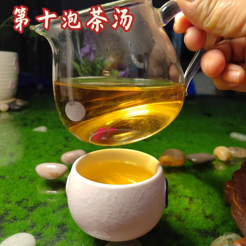 普洱茶易武古树茶白茶铜箐河茶农茶山直供价格实惠