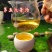 普洱茶易武古树茶白茶铜箐河茶农茶山直供价格实惠