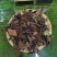 普洱茶易武古树茶白茶铜箐河茶农茶山直供价格实惠