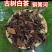 普洱茶易武古树茶白茶铜箐河茶农茶山直供价格实惠