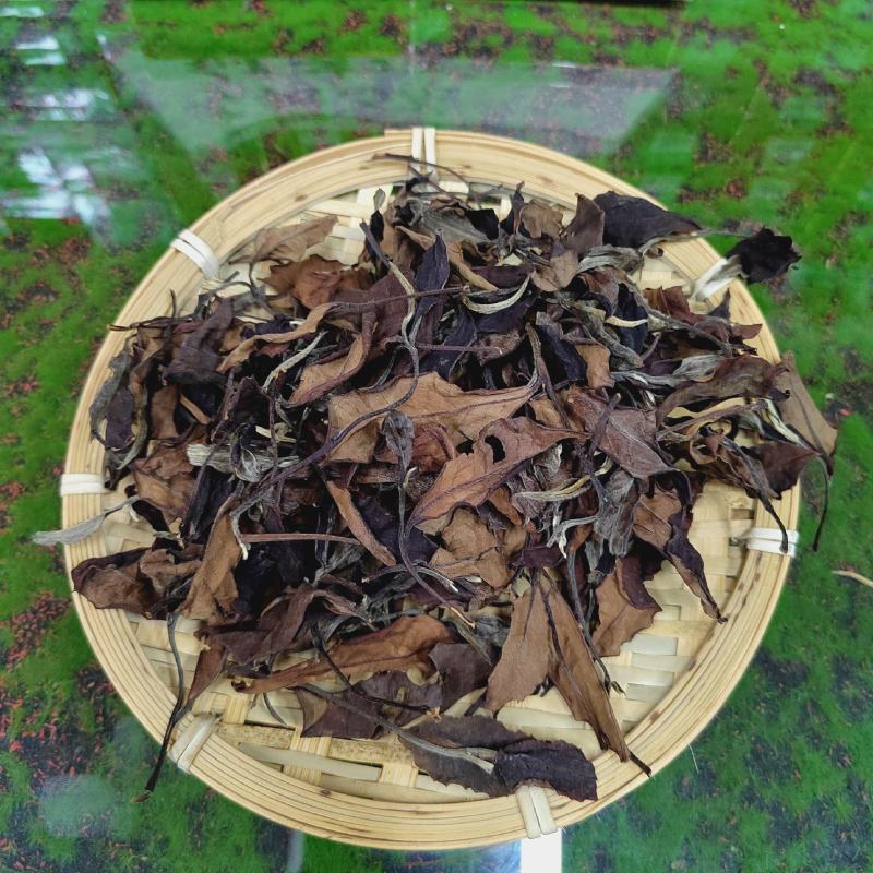 普洱茶易武古树茶白茶铜箐河茶农茶山直供价格实惠